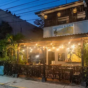 https://hostal-cha-cha-cha.allrivieramayahotels.com